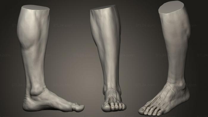 Male Foot 1